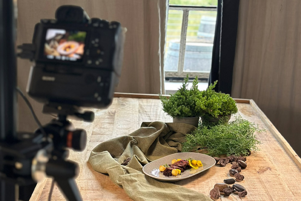 Kamera fotografiert Teller mit dekorativ angerichtetem Essen auf Tisch neben Kräutern, durch Fenster fällt Tageslicht.