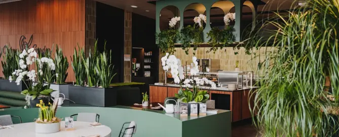 Modernes Restaurantinterieur mit grünen Pflanzen und weißen Orchideen auf Tischen, warmes Holzdekor und offene Küche im Hintergrund.