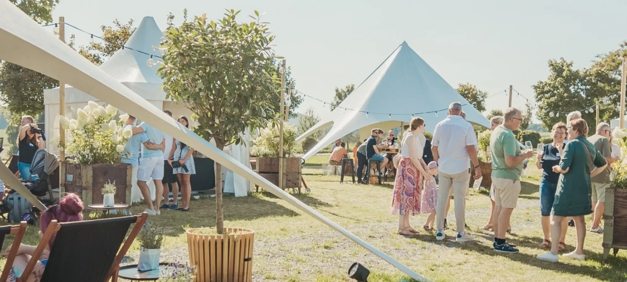 Bilder-Pop-Up-Fenster Gartenparty bei Sonnenschein, Menschen unterhalten sich, trinken und sitzen unter weißen Zelten auf einer Wiese.